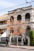 old Victorian House and small orange tree in Clifton Hill