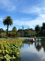 Royal Botanical Garden Park in Melbourne